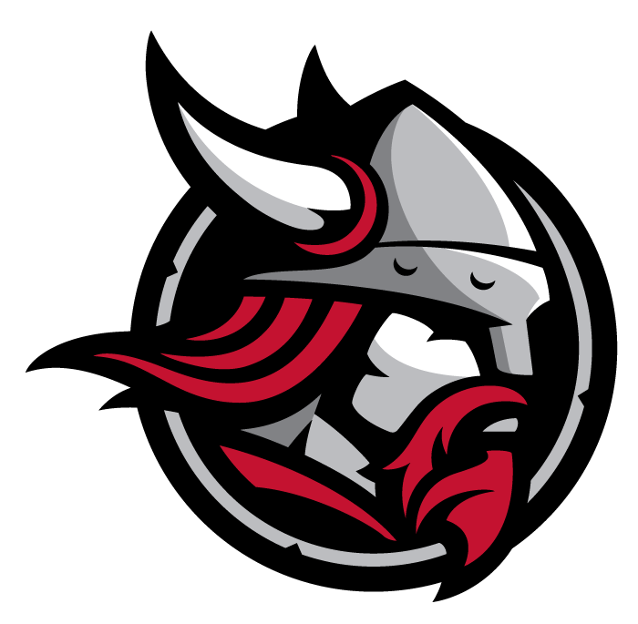 Bethany Lutheran College Viking logo: A circular design featuring a stylized Viking head in a horned helmet with red accents and a beard.