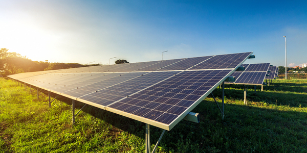 Rows of solar panels installed on a grassy field under a clear blue sky, with sunlight shining from the left, demonstrate Bethany Lutheran College’s commitment to sustainable energy initiatives.