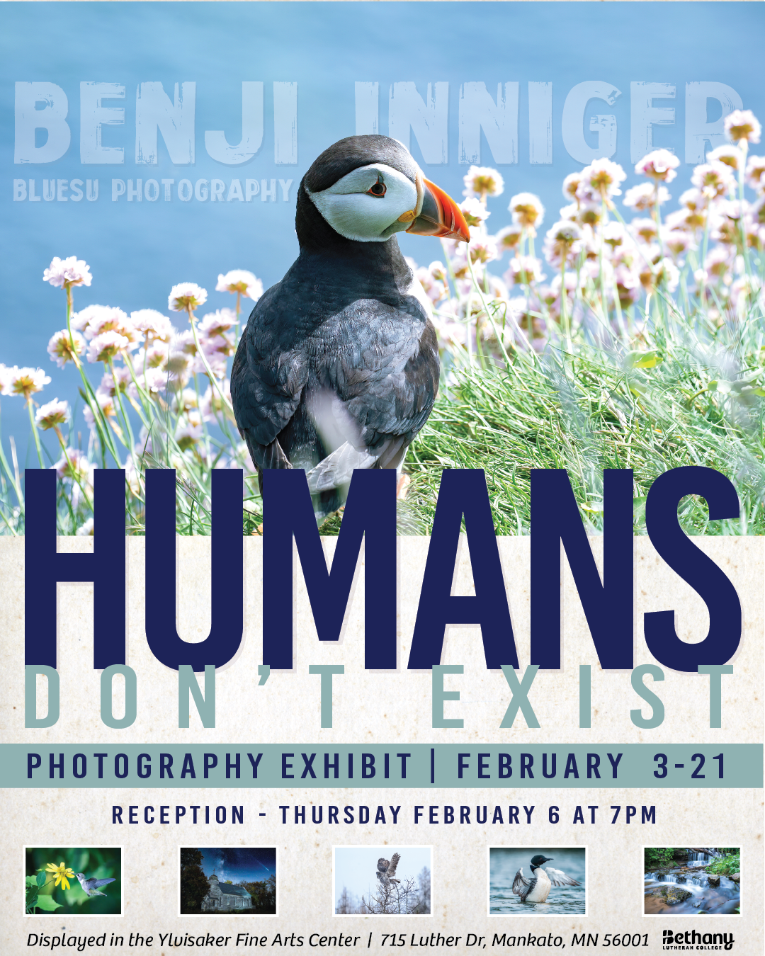 A puffin stands among flowers. Text promotes a photography exhibit by Benji Inniger at Bethany Lutheran College in Mankato.