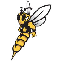 Cartoon yellow jacket wasp with white wings and black markings on a black background, inspired by Mankato student engagement.