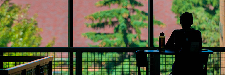 A silhouette sits at a table near large windows at Bethany Lutheran College, overlooking trees on the Mankato campus.