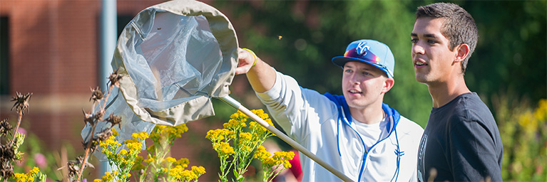 Two young men outdoors in Minnesota, with one holding a butterfly net, surrounded by yellow wildflowers and green foliage.