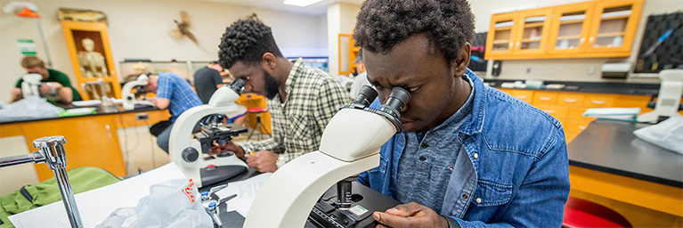 Two students in a Minnesota laboratory examine samples using microscopes, while other members of the campus community are active in the background.