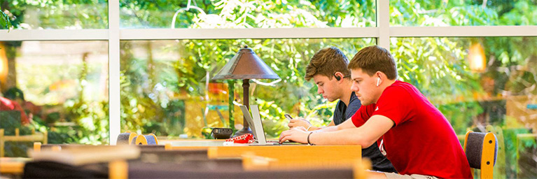 Two students at Bethany Lutheran College work on laptops in a sunlit library, with other members of the campus community present and green trees visible outside.