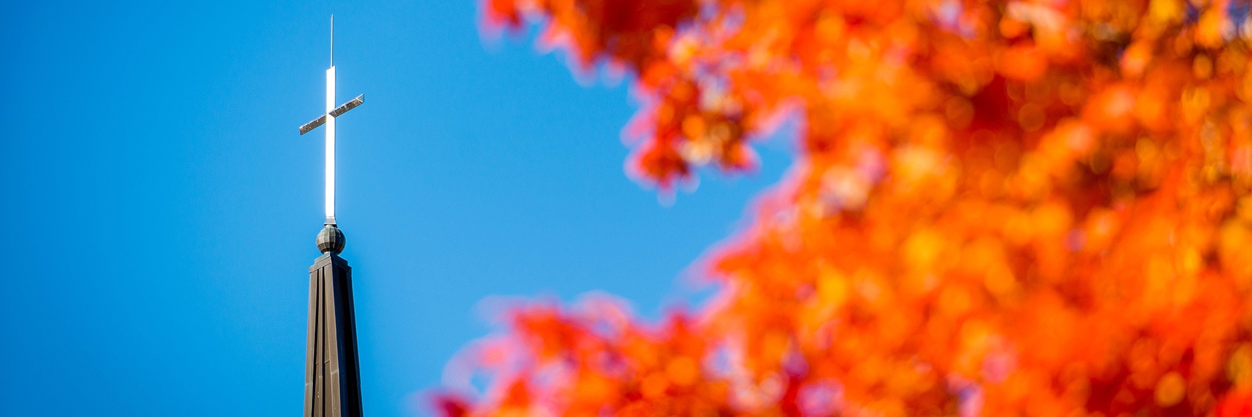 A church steeple with a cross rises above colorful autumn leaves on the Bethany Lutheran College campus in Mankato.